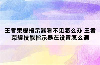 王者荣耀指示器看不见怎么办 王者荣耀技能指示器在设置怎么调